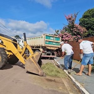 Como solicitar coleta de resíduos de jardinagem? Veja novo contato