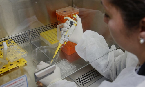 Lei proíbe uso de animais em testes de produtos de higiene e cosméticos