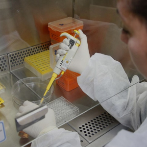 Lei proíbe uso de animais em testes de produtos de higiene e cosméticos