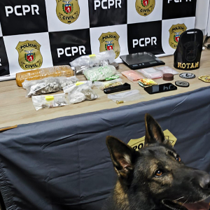 Mais de mil comprimidos de ecstasy e 1,4 kg de maconha são apreendidos