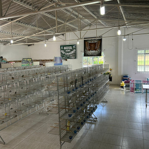 46ª Expoarco reúne aves, orquídeas, pets e artesanato neste fim de semana