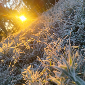 Região amanhece com geada e mínimas de -4°C; veja temperaturas registradas