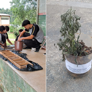 Estudantes criam blocos sustentáveis e herbicida orgânico em projeto escolar