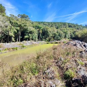 Desmatamento ilegal devasta mais de 2 hectares de vegetação