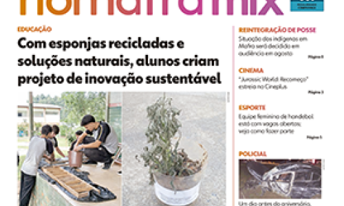 Edição 330