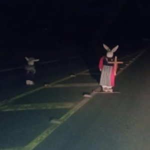 Mistério: coelhos segurando cruzes chamam atenção de motoristas em rodovia