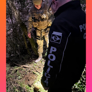 Ossada humana é encontrada em área de mata às margens da BR-116