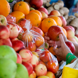 Santa Catarina tem o menor índice de insegurança alimentar do Brasil