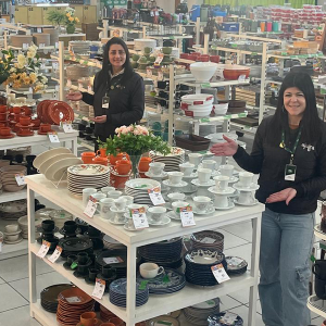 Afubra dá início à temporada de cerâmicas e porcelanas com preços especiais; confira