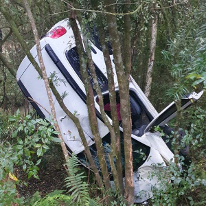 Após ficar sem freio, motorista perde controle de direção e carro capota