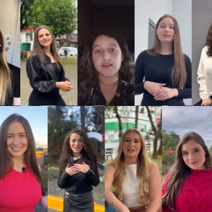 13 jovens disputam os títulos de rainha e princesas da IV Mafra Fest; conheça