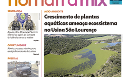 Edição 336