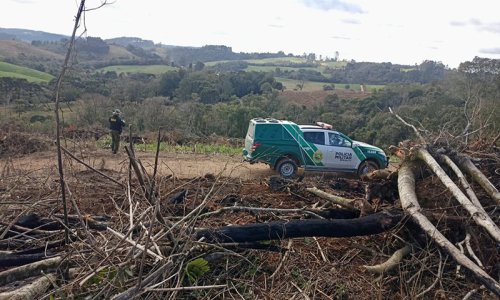 Desmatamento ilegal devasta mais de 2 hectares de mata nativa