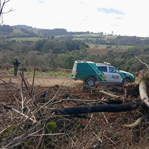 Desmatamento ilegal devasta mais de 2 hectares de mata nativa