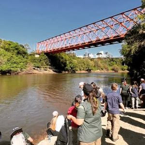 Mutirão de limpeza e soltura de peixes acontece neste sábado no rio Negro