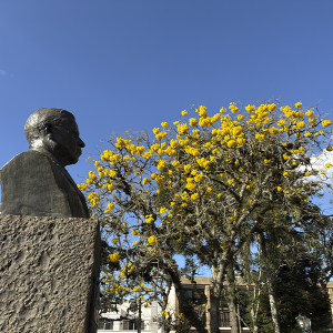 Chegada da primavera: saiba o que esperar da estação e quais os cuidados com a saúde