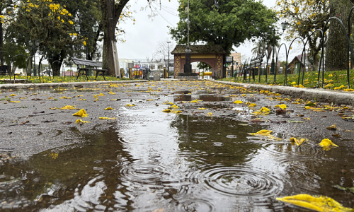 Frio intenso e chance de geada: veja como fica o tempo após tempestades