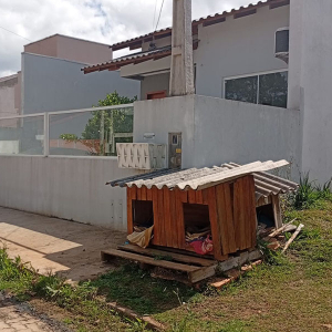 Moradora é notificada para retirada de casinhas comunitárias de cães; entenda