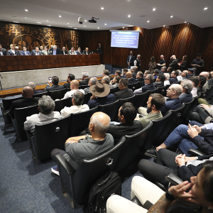 Audiência apresenta medidas para auxiliar setor madeireiro diante do tarifaço
