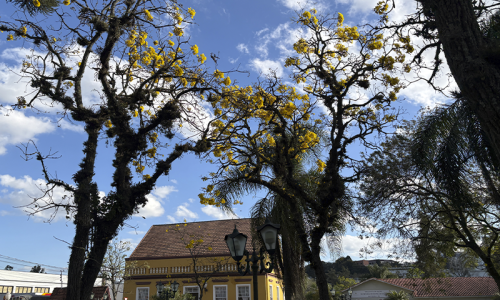 Tempo firme marca o início da semana, mas chuva já tem data para voltar; veja quando