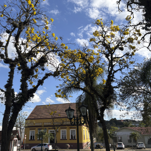 Tempo firme marca o início da semana, mas chuva já tem data para voltar; veja quando