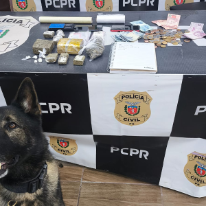 Trio que invadiu e roubou casa no interior de Rio Negro é preso