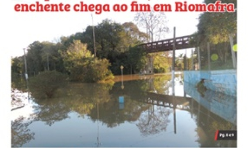 Edição 22