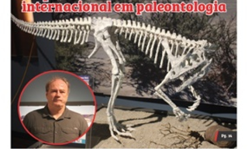 Edição 24