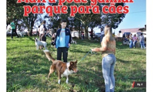Edição 25