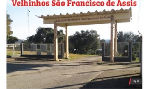 Edição 29