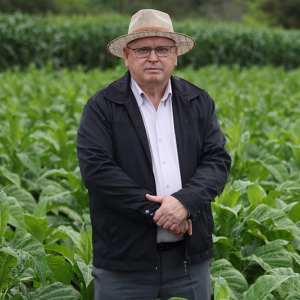 Dia do Produtor de Tabaco: reconhecimento a quem faz a economia rural prosperar