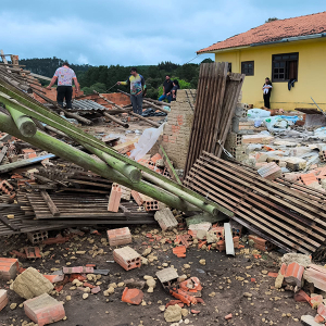 Ventos fortes derrubam galpão e eucaliptos no interior de Itaiópolis