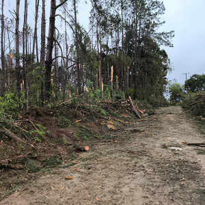 Itaiópolis teve tornado durante temporal, confirma Defesa Civil