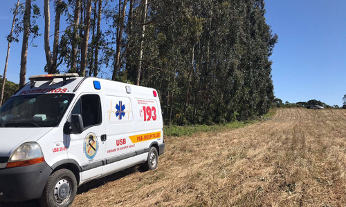 Trabalhador é hospitalizado após ser atingido por árvore