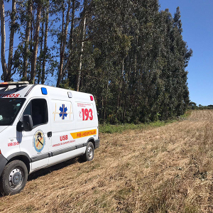 Trabalhador é hospitalizado após ser atingido por árvore
