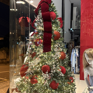Ainda não fez as compras de Natal? Veja o funcionamento do comércio