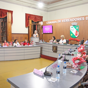 Câmara homenageia 11 personalidades com o Prêmio Mulher Destaque Rionegrense; veja quem
