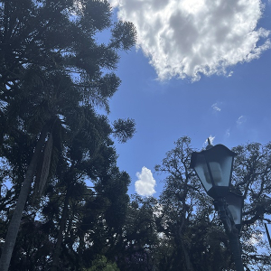 Sol e calor marcam a última semana do verão; veja a previsão