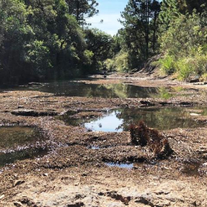 População deve estar atenta ao uso consciente da água durante o isolamento