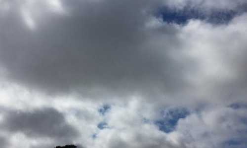 Semana inicia com chuva e céu encoberto na região
