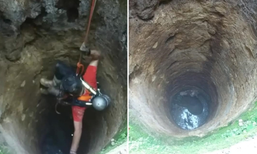 Cavalo cai em poço e é resgatado por bombeiros em Itaiópolis