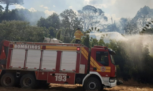 Plantação de soja e área de mata nativa são atingidas por incêndio em Avencal de Cima