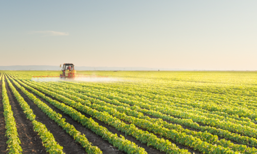 Santa Catarina lança programa de inovação voltado para o agronegócio