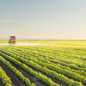 Santa Catarina lança programa de inovação voltado para o agronegócio