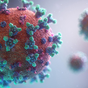 Com 16 novas infecções, Rio Negro ultrapassa 700 casos de covid-19
