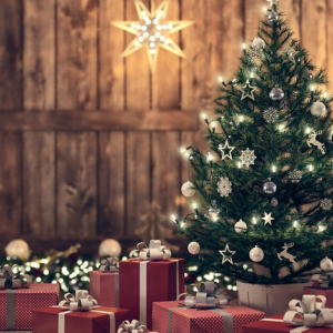 Uninter lança concurso de árvores de Natal com excelentes prêmios