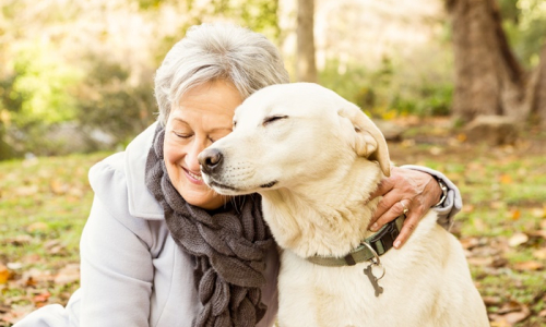 Animais contribuem para saúde de idosos em isolamento