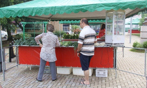 Mafra terá feira de agricultura familiar nas vésperas de Natal e Ano Novo