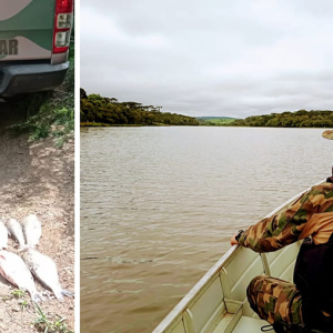 Dupla é detida por pesca irregular durante a piracema em Mafra