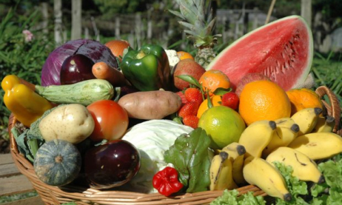 Participação de agricultores de SC no Programa de Aquisição de Alimentos foi aprovada